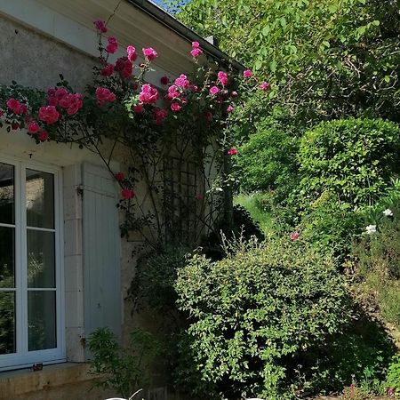 Le Moulin Du Mesnil Panzió Saint-Georges-sur-Cher Kültér fotó