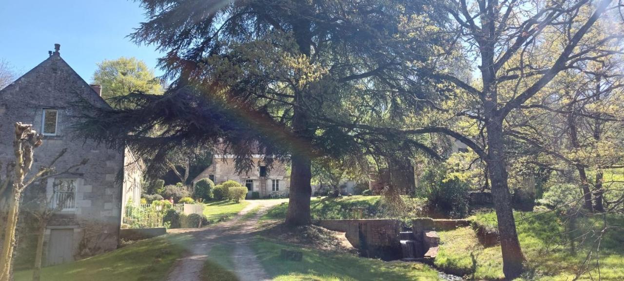 Le Moulin Du Mesnil Panzió Saint-Georges-sur-Cher Kültér fotó
