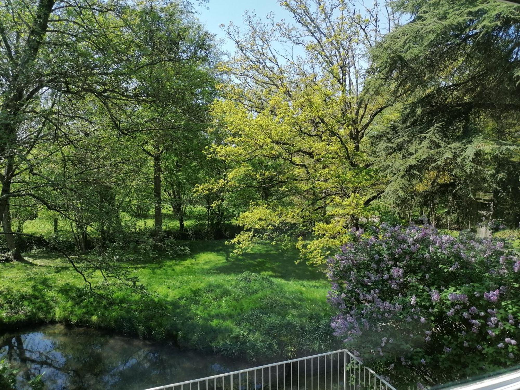 Le Moulin Du Mesnil Panzió Saint-Georges-sur-Cher Kültér fotó
